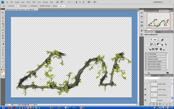 Creation of Branch: Step 5